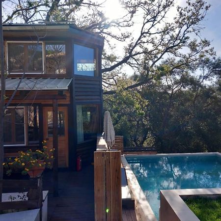 Romantic Tree House Kato Pavliana Екстериор снимка