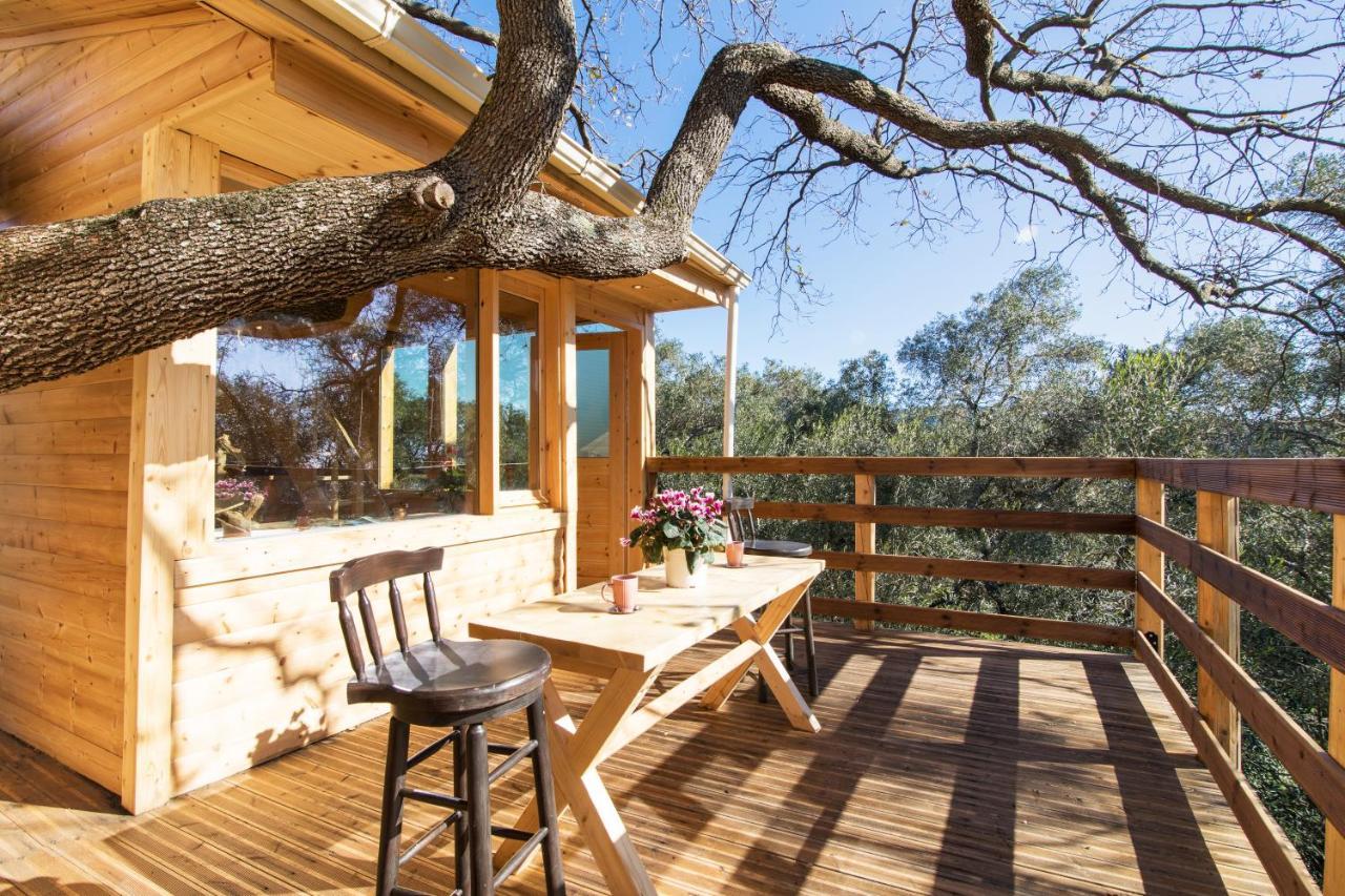 Romantic Tree House Kato Pavliana Екстериор снимка