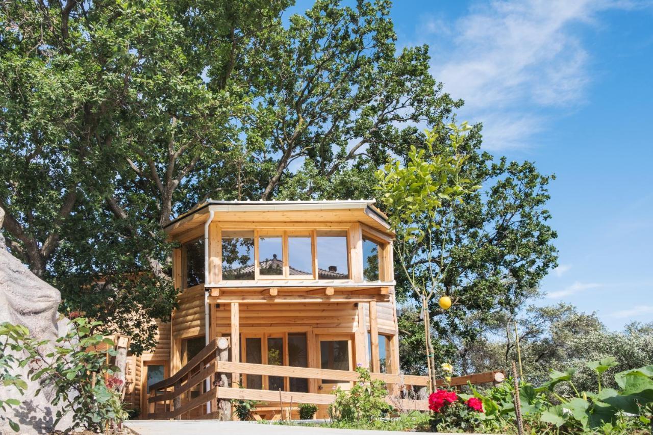 Romantic Tree House Kato Pavliana Екстериор снимка